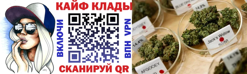 Где купить наркоту Можга Каннабис  Кокаин  СК  Меф  ГАШ 