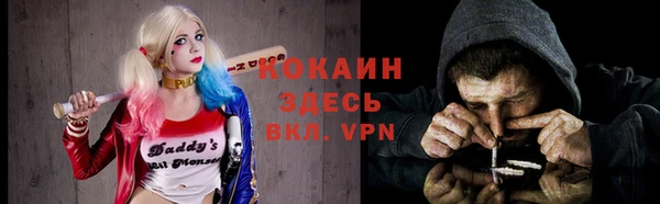 стафф Горно-Алтайск