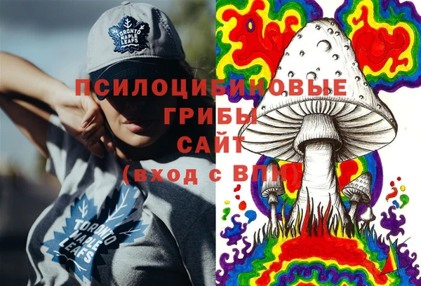 прущие крисы Горнозаводск
