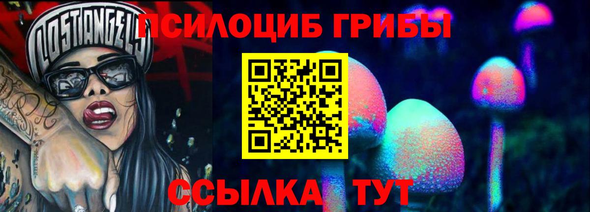Можга  Галлюциногенные грибы мицелий  Вход с VPN  Псилоцибиновые грибы Cubensis 