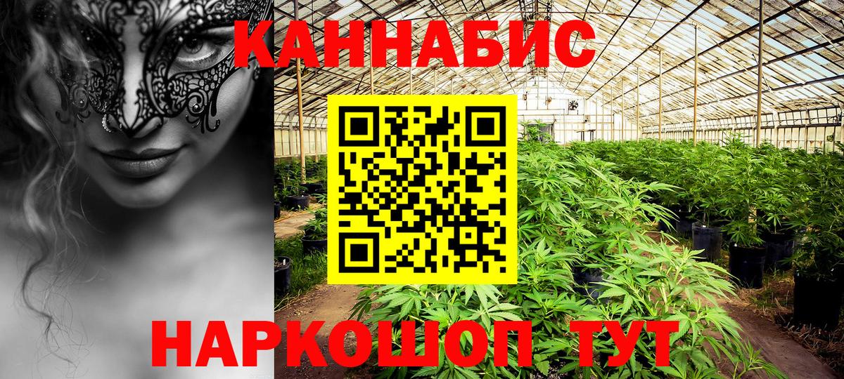 Бошки Шишки конопля Можга